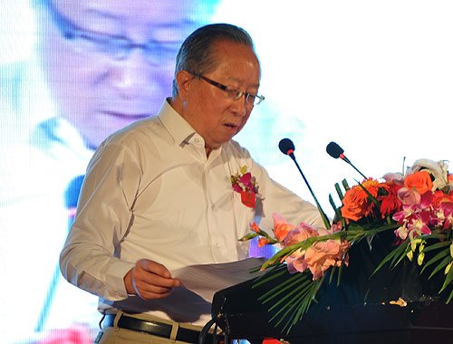 高新民：2015年中國網(wǎng)民能夠達(dá)到7到8個億