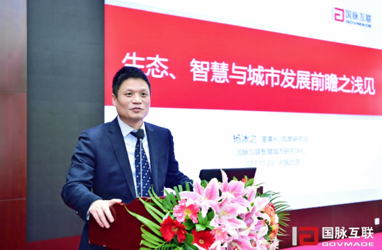國(guó)脈互聯(lián)董事長(zhǎng)/首席研究員楊冰之