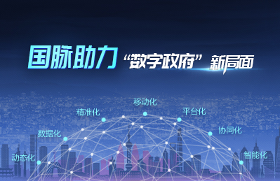 國脈助力數(shù)字政府新局面