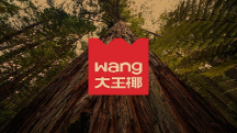 大王椰LOGO煥新背后，如何打造年輕人的品牌！