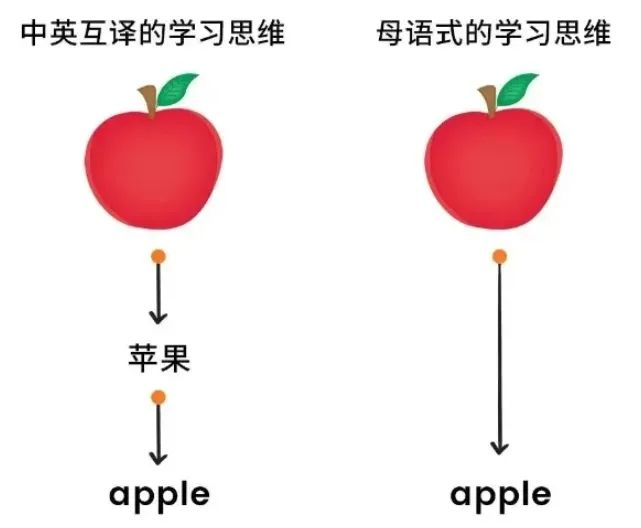 http://img.danews.cc/upload/ajax/20241223/951b2620b87b6511fd9f2b88e06041ab.png